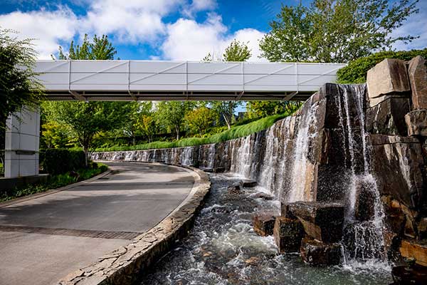 Irrigation project at corporate headquarters (Photo: Aralani Photography)