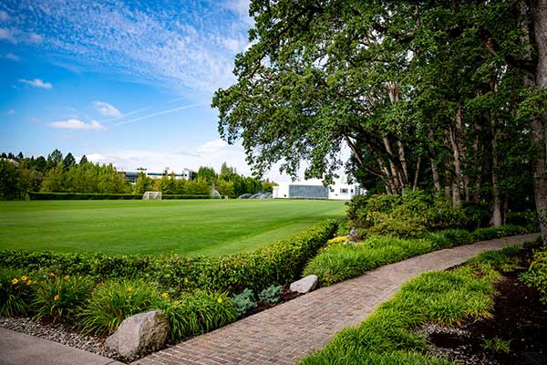 Irrigation project at corporate headquarters (Photo: Aralani Photography)