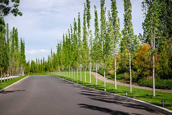 Irrigation project at corporate headquarters (Photo: Aralani Photography)