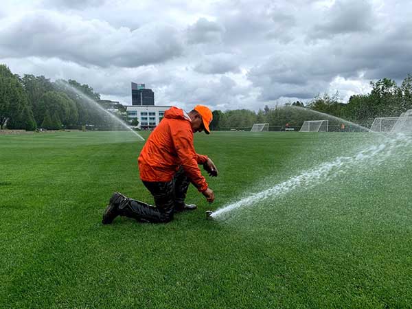 Irrigation project at corporate headquarters (Photo: Pacific Landscape Management)