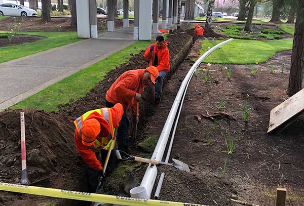 Irrigation project at corporate headquarters (Photo: Pacific Landscape Management)