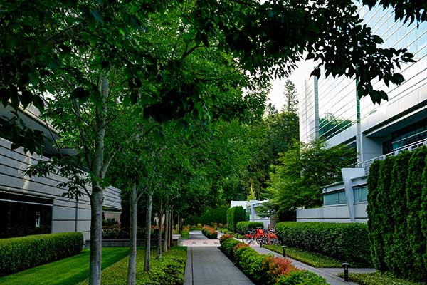 Irrigation project at corporate headquarters (Photo: Aralani Photography)