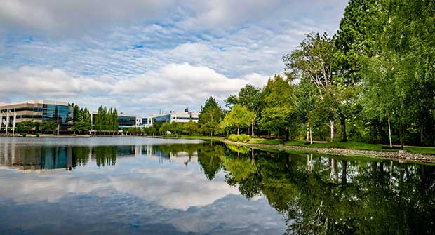 Irrigation project at corporate headquarters (Photo: Aralani Photography)