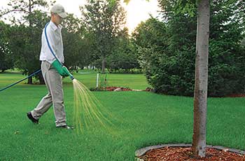 Operator spraying (Photo: Syngenta)
