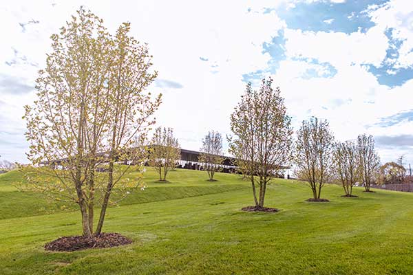 Maintenance project at National Memorial for Peace and Justice (Photo: Landscape Workshop)