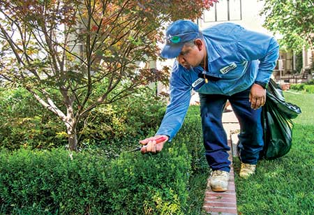 Lawns of Dallas crew member (Photo: Lawns of Dallas)