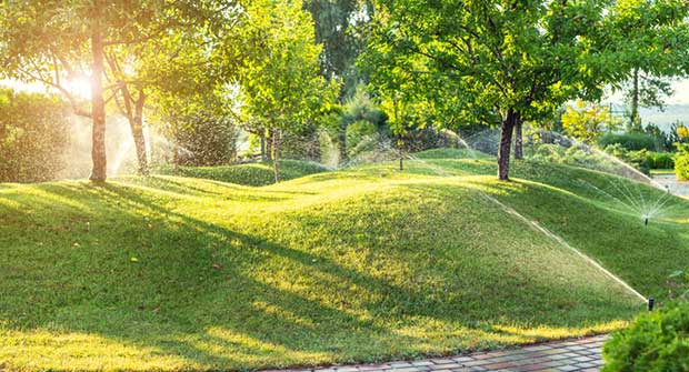 Sprinkler system (Photo: Kyryl Gorlov / iStock / Getty Images)