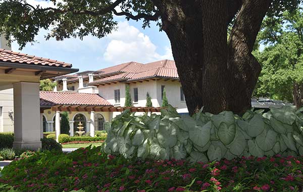 Landscape maintenance project (Photo: TechScapes)