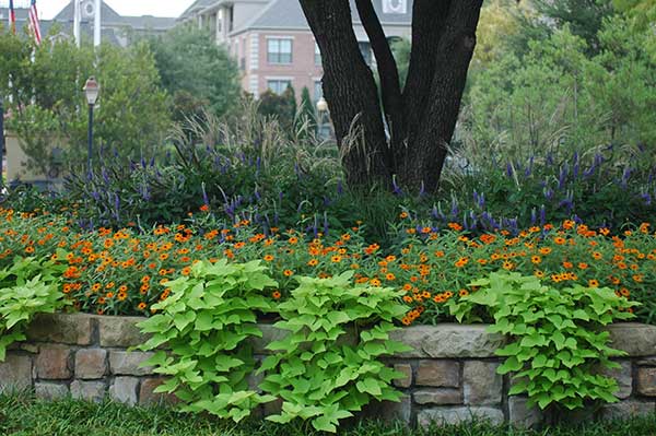 Landscape maintenance project (Photo: TechScapes)