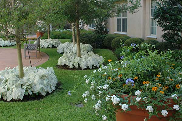 Landscape maintenance project (Photo: TechScapes)