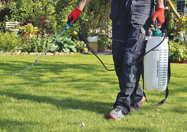 Person spraying lawn care application (Photo: Imagesines/iStock / Getty Images Plus/Getty Images)