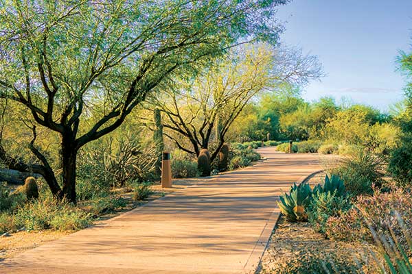 Irrigation renovation project (Photo: DC Ranch Association)