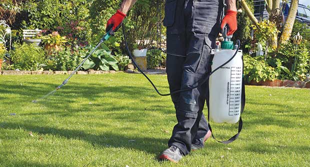 Person spraying lawn care application (Photo: Imagesines/iStock / Getty Images Plus/Getty Images)