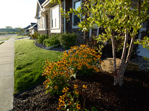Photo courtesy of Corteva Agriscience