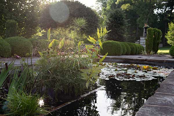 Hardscape project (Photo: Kim Dillon)