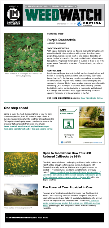 landscape management