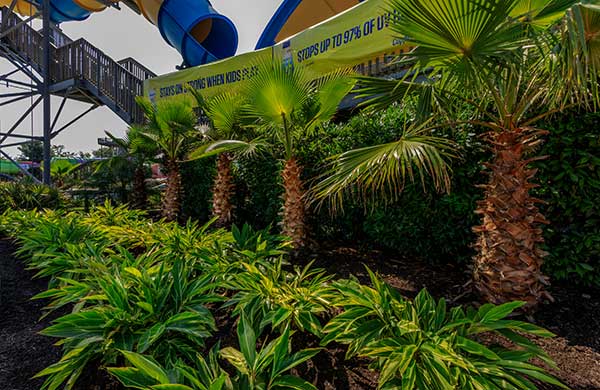 Landscape maintenance project (Photo: Ruppert Landscape)