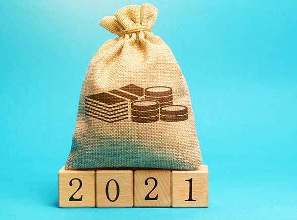 Pouch for 2021 budget (Photo: Andrii Yalanskyi / iStock / Getty Images Plus)