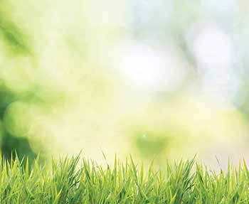 Healthy turf (Photo: Shuttertop/iStock / Getty Images Plus/Getty Images)