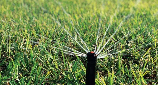 Irrigation project (Photo: Drip Drop Lawn Care)