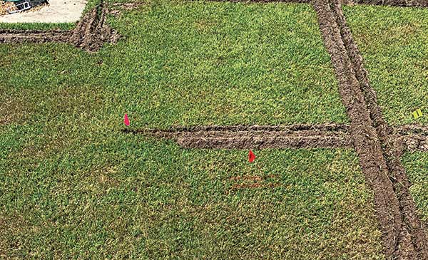 Irrigation project (Photo: Drip Drop Lawn Care)