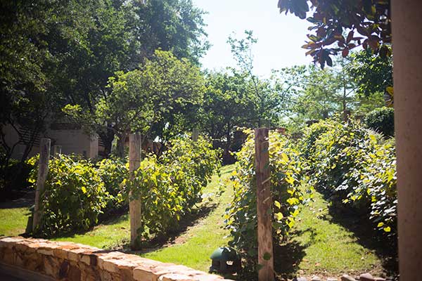 Landscape maintenance project (Photo: Landcare)
