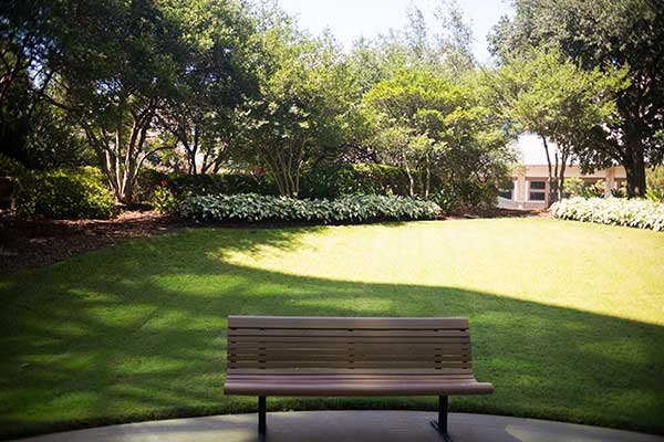 Landscape maintenance project (Photo: Landcare)