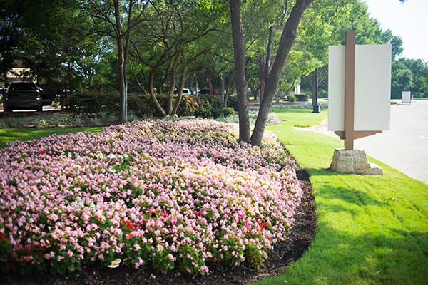 Landscape maintenance project (Photo: Landcare)