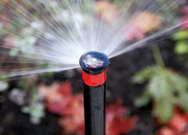 Irrigation sprayhead (Photo: LM Staff)