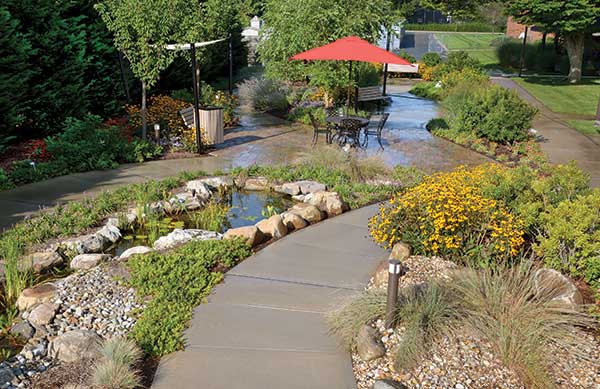 Hardscape project (Photo: Sue Sotera)