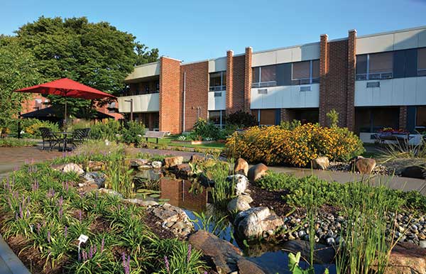 Hardscape project (Photo: Sue Sotera)