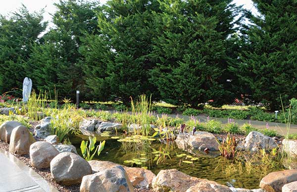 Hardscape project (Photo: Sue Sotera)