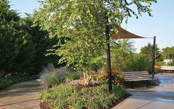 Hardscape project (Photo: Sue Sotera)
