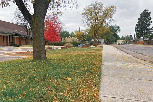 Irrigation renovation (Photo: Weisburg Landscape Maintenance)