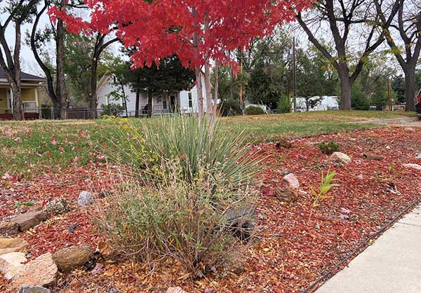 Irrigation renovation (Photo: Weisburg Landscape Maintenance)