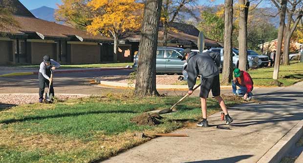 Irrigation renovation (Photo: Weisburg Landscape Maintenance)