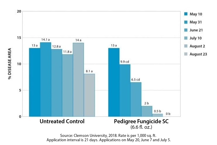 Pedigree Vs. Fairy Ring