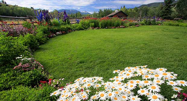 Maintenance project (Photo: Rocky Mountain Custom Landscapes)