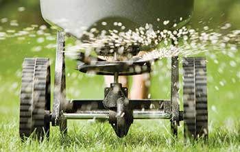 Spreading fertilizer (Photo: BanksPhotos/iStock / Getty Images Plus/Getty Images)