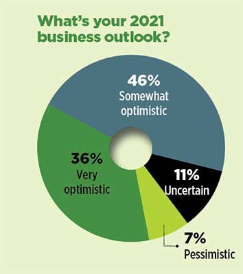 Business outlook graph (Graphic: LM Staff)