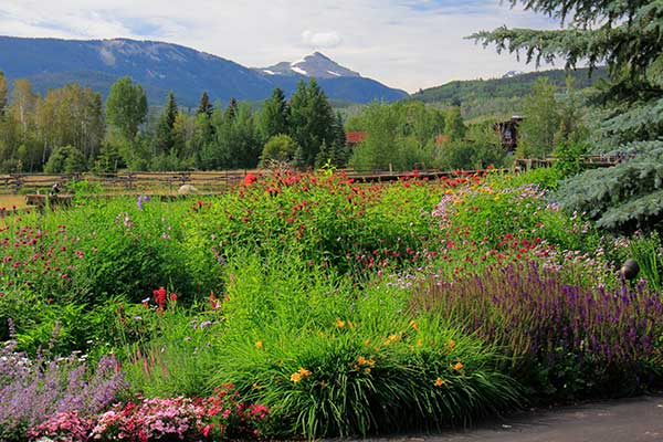 Maintenance project (Photo: Rocky Mountain Custom Landscapes)