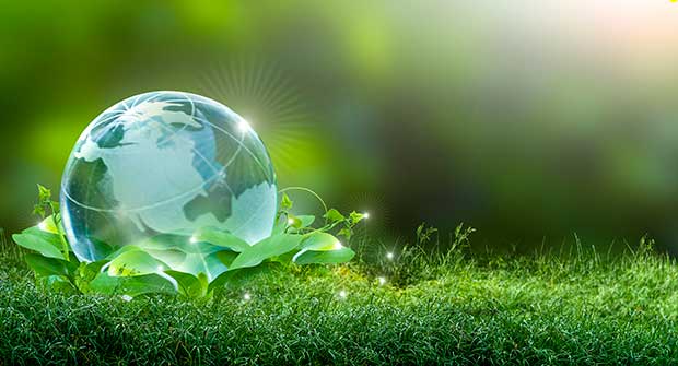 Sustainability image (Photo: Surasak Suwanmake / iStock / Getty Images / Getty Images Plus)