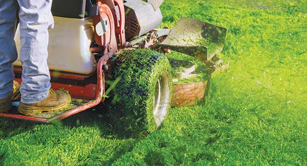 Stand-on mower (Photo: photovs/iStock / Getty Images Plus/Getty Images)