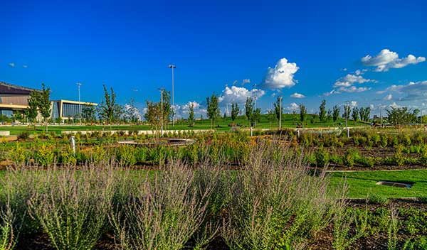 Hardscape project at Scissortail Park (Photo: Ruppert Landscape)