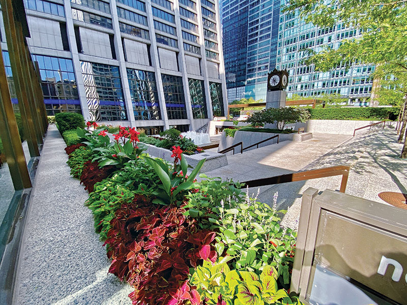 Chase Tower Plaza (Photo: Moore Landscapes)