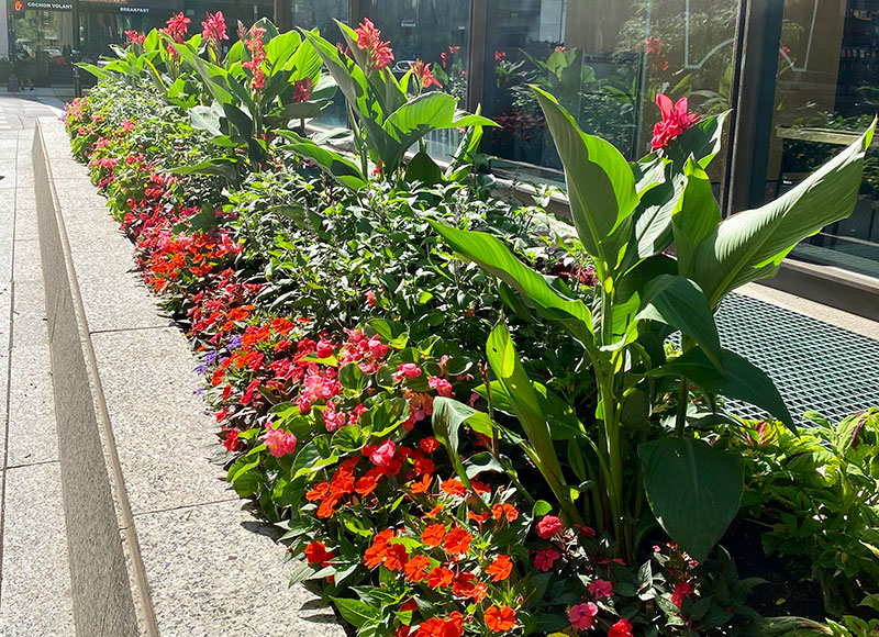 Chase Tower Plaza (Photo: Moore Landscapes)
