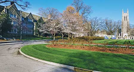 Grounds at Duke University (Photo: Duke University Facilities Management)