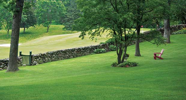 Green lawn (Photo: BioLawn)
