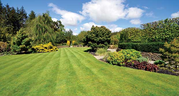 Green lawn (Photo: dpe123/iStock / Getty Images Plus/Getty Images)