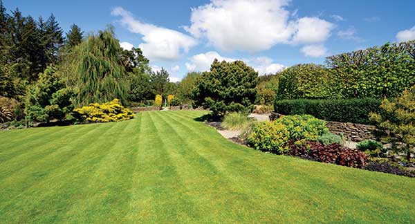Green lawn (Photo: dpe123/iStock / Getty Images Plus/Getty Images)